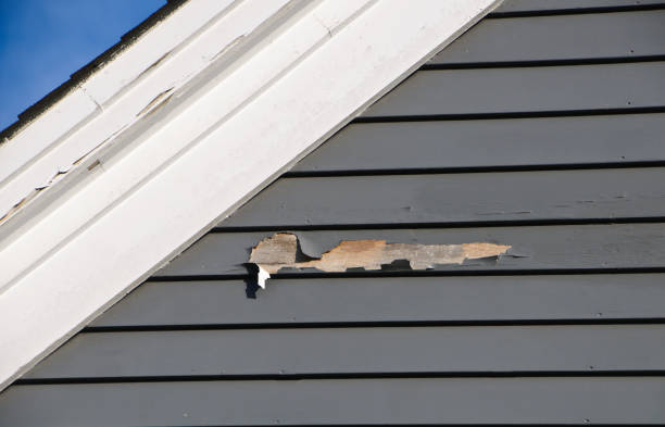 Best Attic Cleanout  in Walkerton, IN